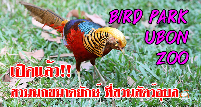 Bird-Park-Ubon-Zoo-01.jpg