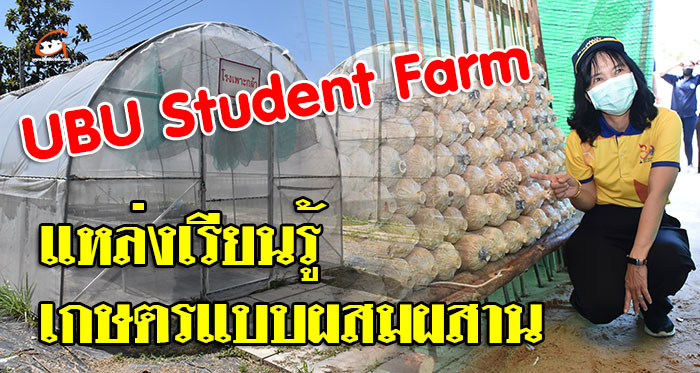 UBU-Student-Farm-01.jpg