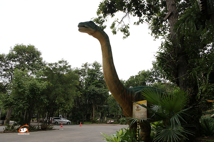 ไดโนเสาร์-สวนสัตว์อุบล-07.jpg