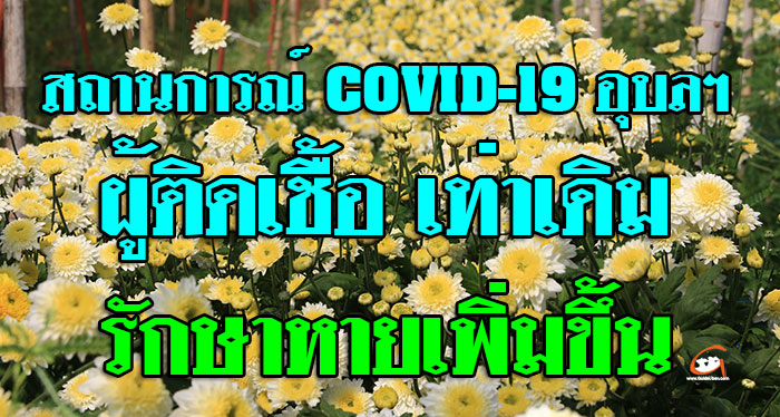 COVID-19-ติดเชื้อ12-03.jpg