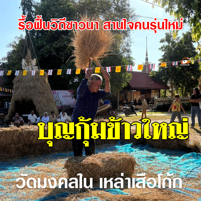 บุญกุ้มข้าวใหญ่ รื้อฟื้นวิถีชาวนา สานใจคนรุ่นใหม่ วัดมงคลใน เหล่าเสือโก้ก