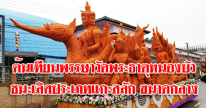 ต้นเทียนพรรษา-วัดพระธาตุหนองบัว-01.jpg