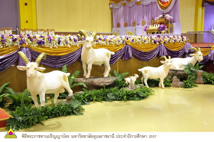 พระแท่น-พระราชทานปริญญาบัตร-อุบล-08.jpg