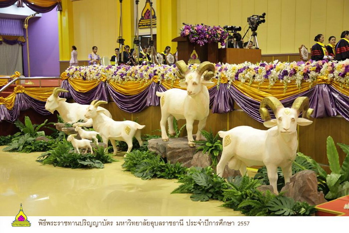 พระแท่น-พระราชทานปริญญาบัตร-อุบล-06.jpg