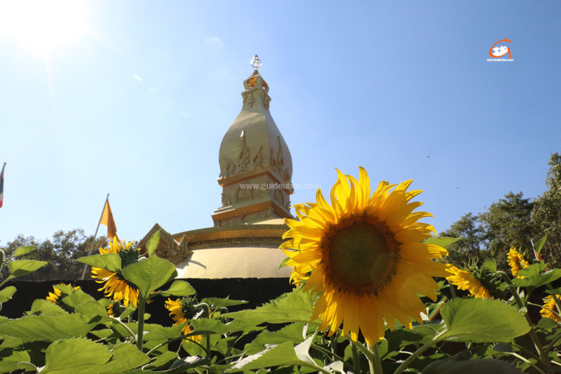 คำกล่าวบูชาเจดีย์ พระโพธิญาณเถร (ชา สุภทฺโท)