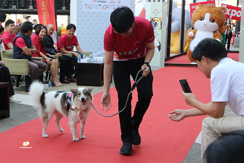 PET COMPLEX EXPO 2025 รวมพลคนรักสัตว์ อีสานใต้ ครั้งที่ 2