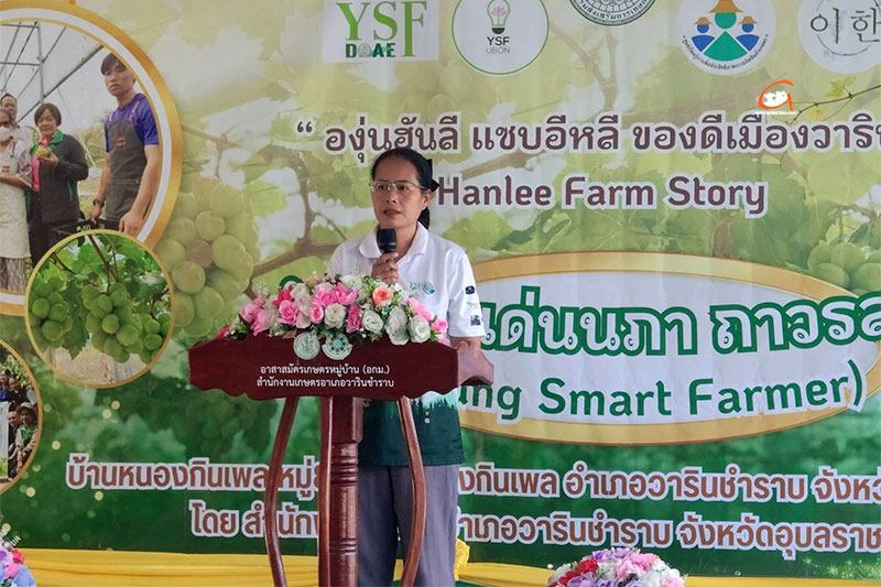 องุ่นฮันลี แซบอิหลี ของดีเมืองวาริน Hanlee Farm Story