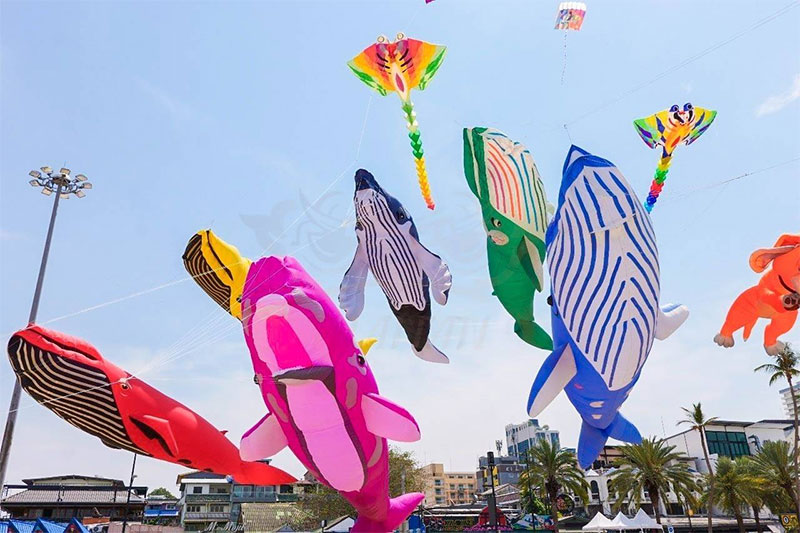 เทศกาลว่าวที่ใหญ่ที่สุดในอีสานใต้ UBON KITE FEST 2025