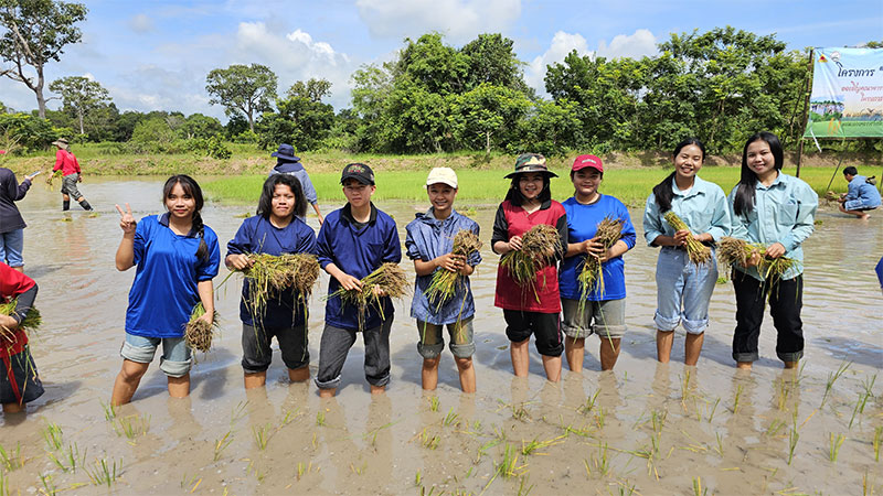เกษตรศาสตร์ ม.อุบลฯ นำน้องใหม่เรียนรู้เชิงปฏิบัติผ่านโครงการมือเรียวรอเกี่ยวรวง ระยะที่ 1 ช่วงดำนา