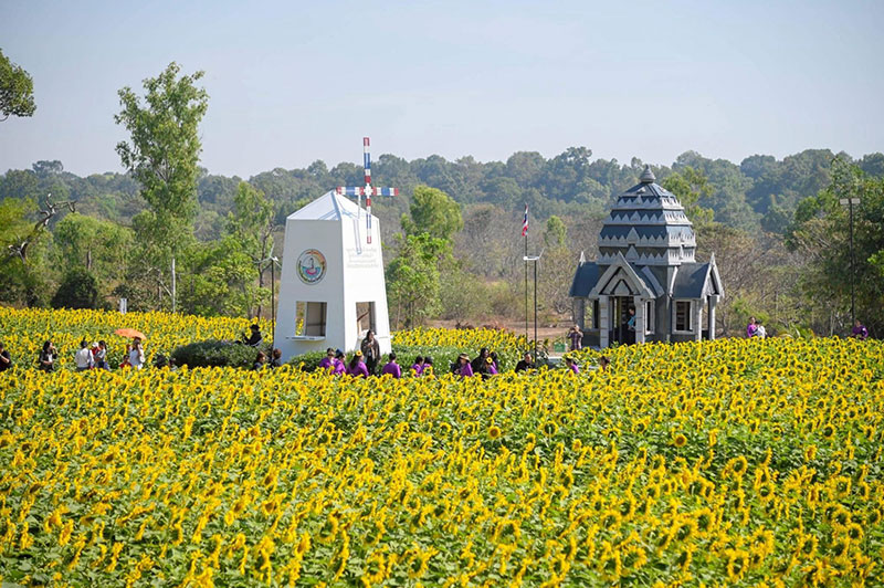 เปิดเทศกาลทุ่งทานตะวัน @ทุ่งบูรพา ชวนเที่ยวฟรี กระตุ้นเศรษฐกิจอุบลฯ