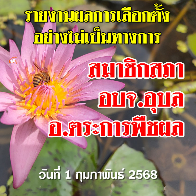 รายงานผลเลือกตั้ง สจ.อบจ.อุบล 2568 อำเภอตระการพืชผล