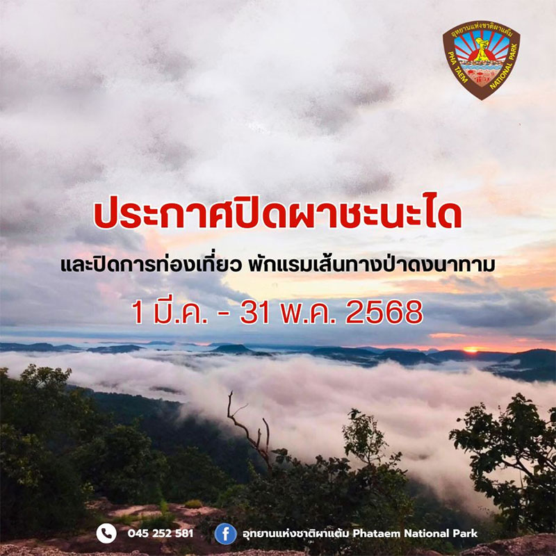 ปิดผาชะนะได และปิดการท่องเที่ยวพักแรมเส้นทางป่าดงนาทาม 3 เดือน