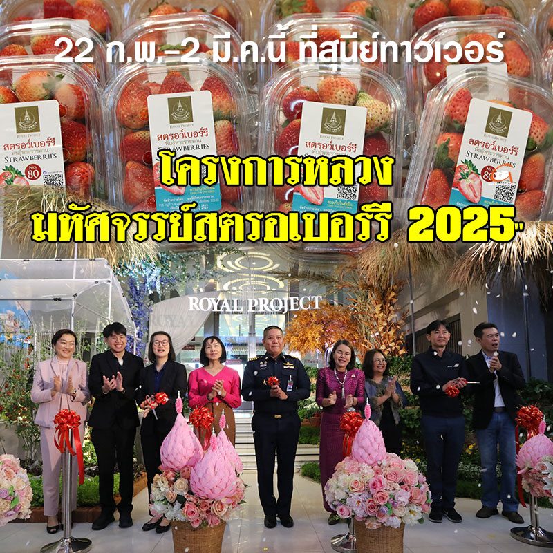 โครงการหลวง มหัศจรรย์สตรอเบอร์รี 2025 ที่สุนีย์ทาวเวอร์