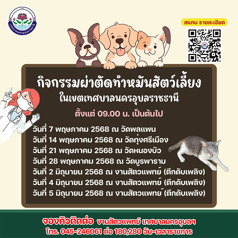 ผ่าตัดทำหมันสุนัขและแมว ในเขตเทศบาลนครอุบลฯ ฟรี! 