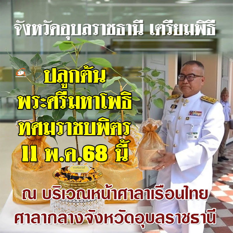 อุบลฯ เตรียมพิธีปลูกต้น “พระศรีมหาโพธิทศมราชบพิตร” 11 พ.ค. 68 นี้