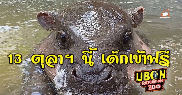 13 ตุลาคม 67 นี้ วันนวมินทรมหาราช สวนสัตว์อุบลราชธานี เด็กเข้าฟรี