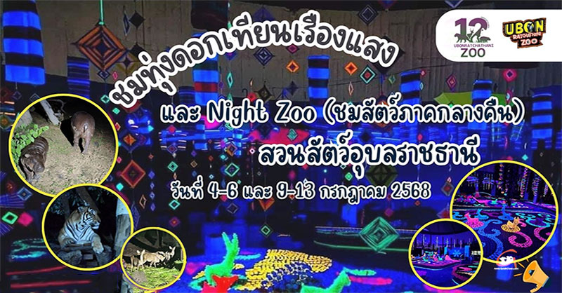 ชมทุ่งดอกเทียนเรืองแสง และส่องสัตว์กลางคืน Night Zoo 2568