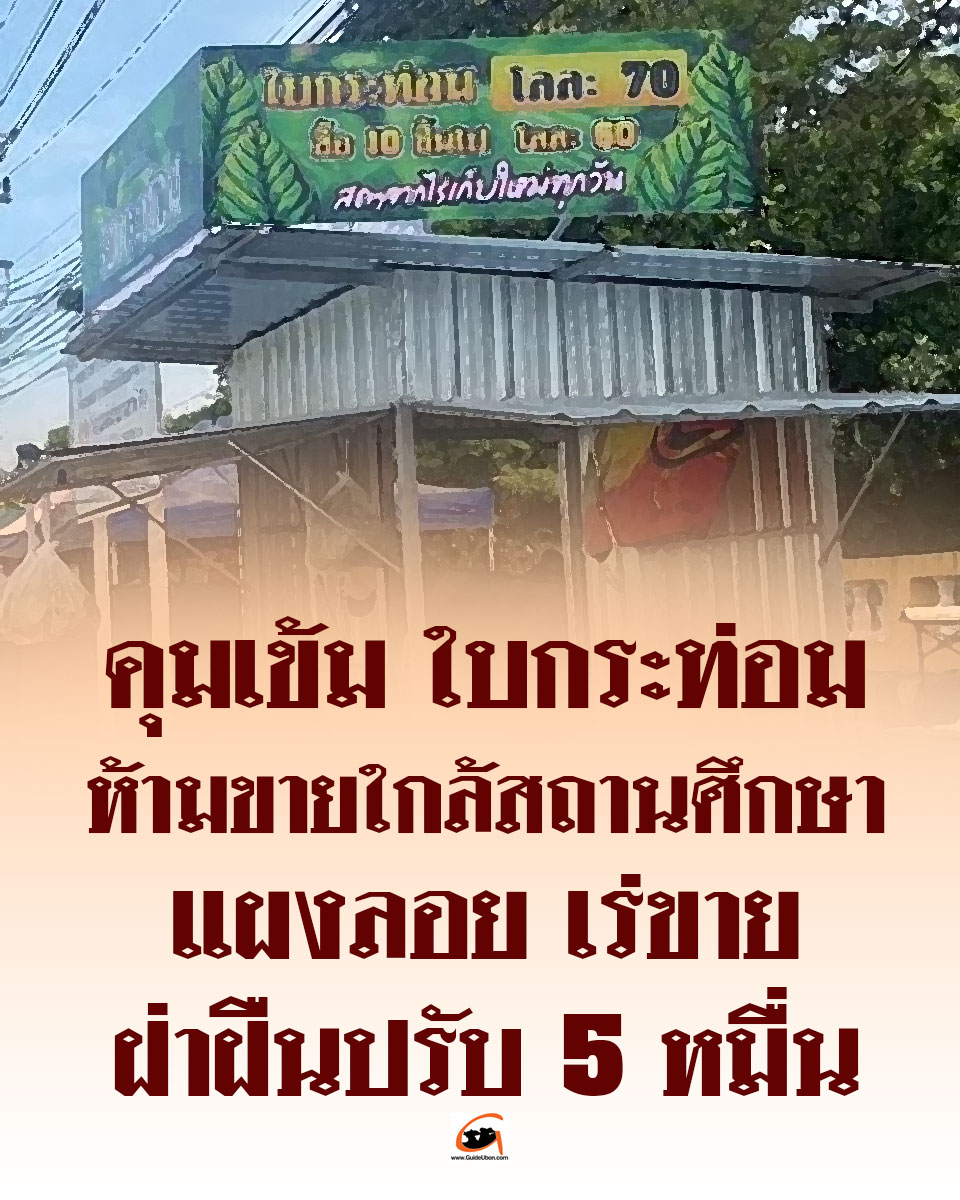 คุมเข้ม ใบกระท่อม ห้ามขายใกล้สถานศึกษา–แผงลอย–เร่ขาย