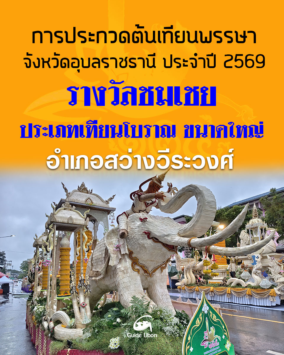ต้นเทียนโบราณ ขนาดใหญ่ อำเภอสว่างวีระวงศ์
