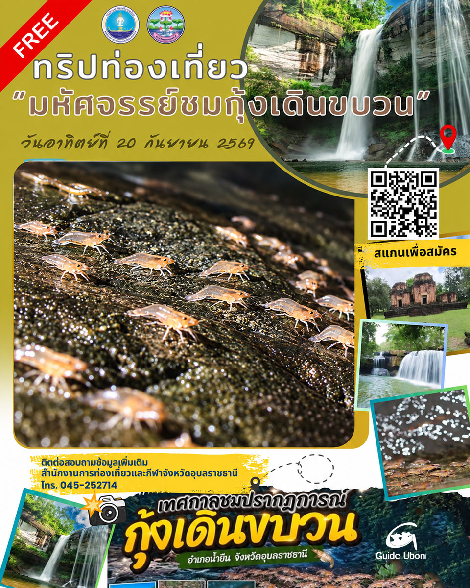 ทริปท่องเที่ยวมหัศจรรย์ชมกุ้งเดินขบวน 20 กันยายน 2569