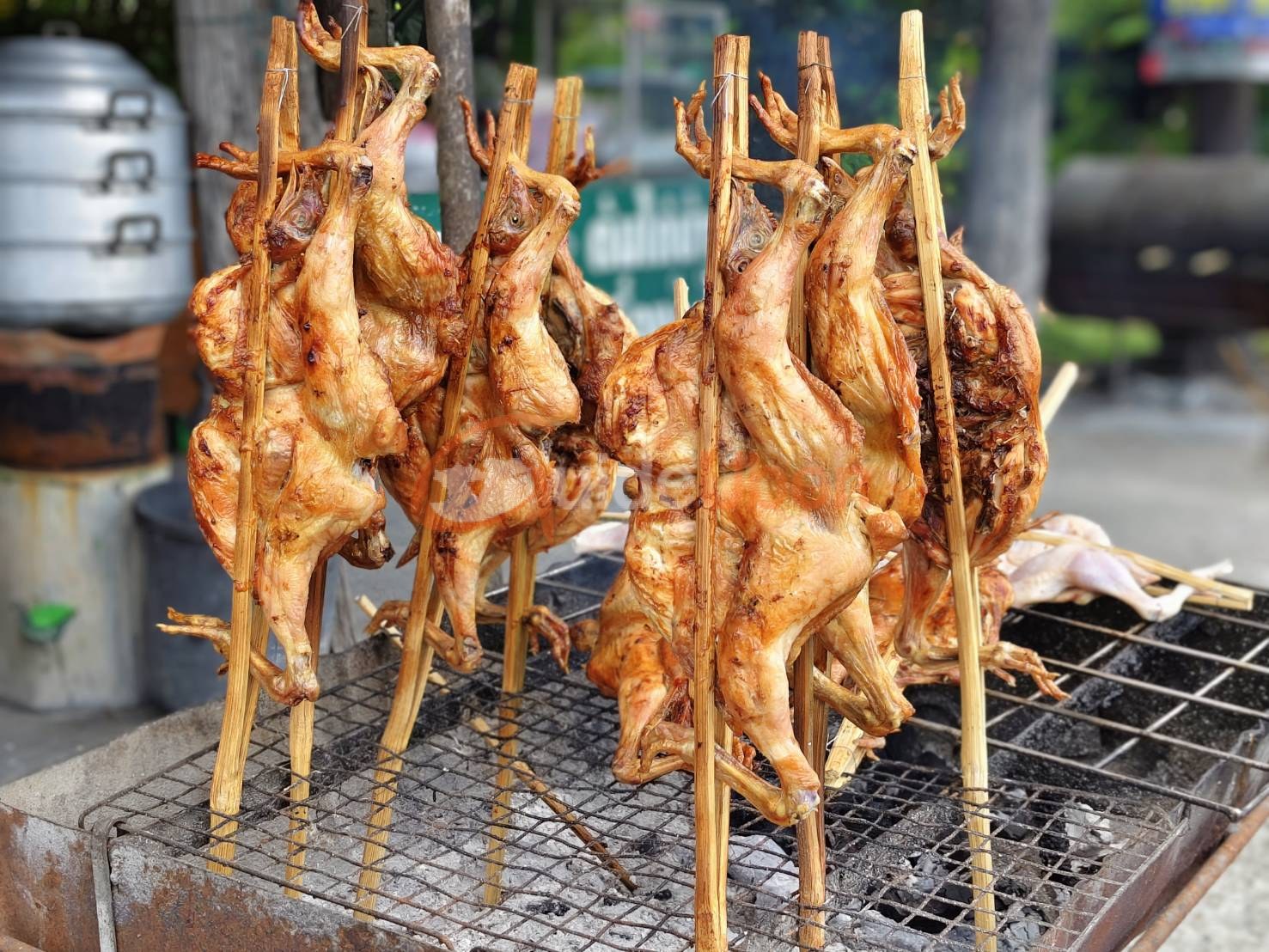 แวะชิม ท้าวคำพูไก่ย่าง อาหารอีสานพื้นบ้าน ของดีเมืองพิบูลฯ