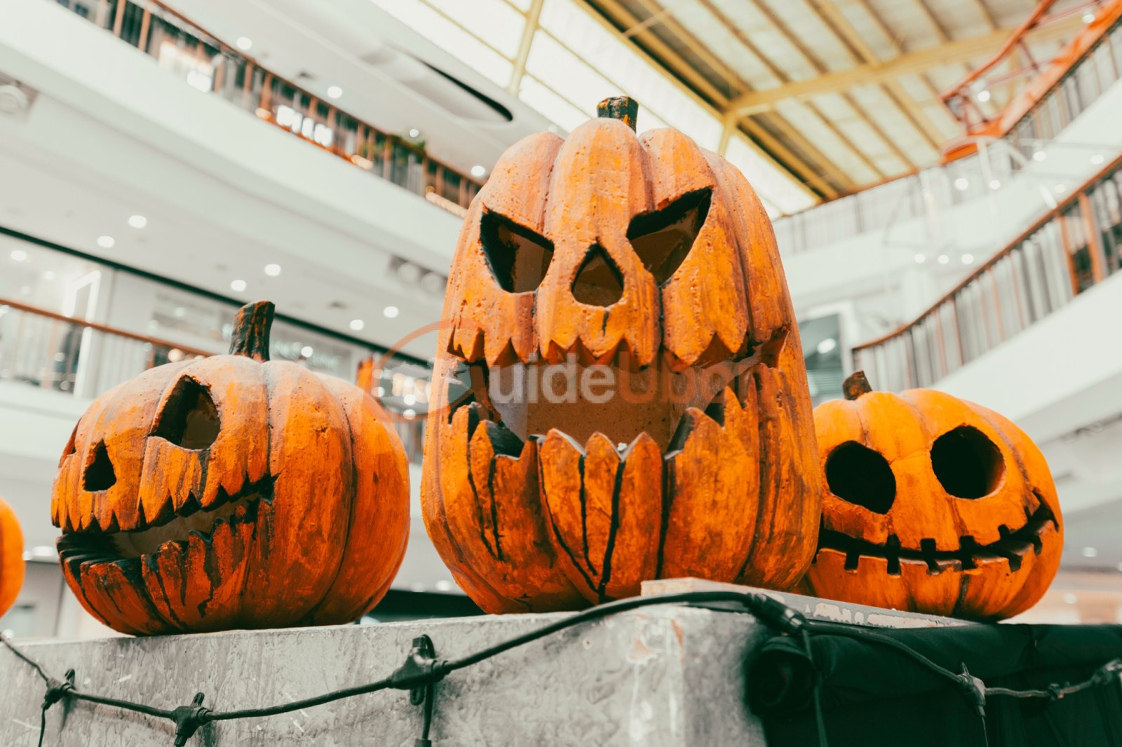 Spooky Pet Village สัมผัสบ้านผีสิง ชมสัตว์แปลก ที่เซ็นทรัลอุบล